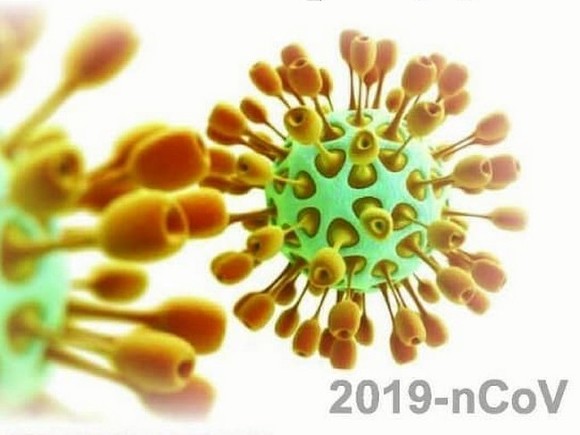 Правительство РФ признало коронавирус современной чумой