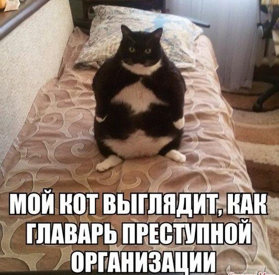 Супер клевые картинки Супер клевые картинки