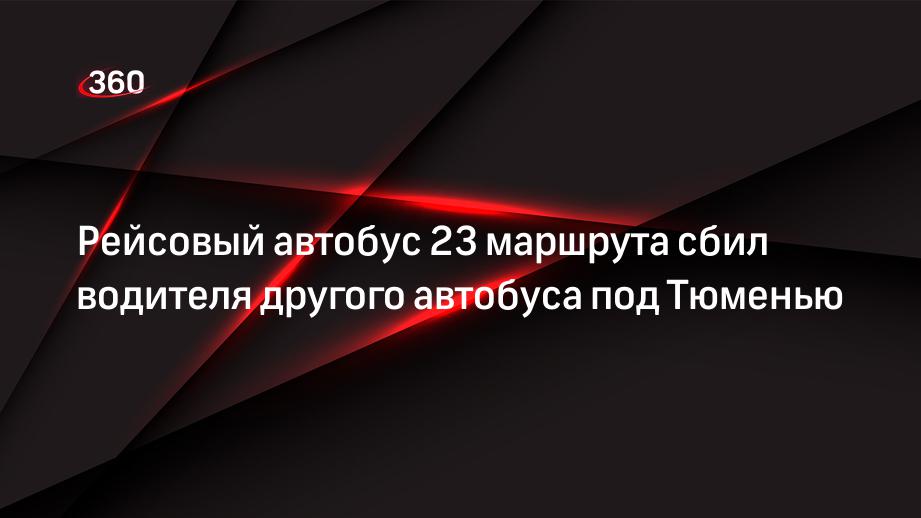 Рейсовый автобус 23 маршрута сбил водителя другого автобуса под Тюменью