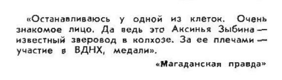 Самое смешное из советского «Крокодила» на 23 Февраля: 1970–1980-е годы evergreen,format-article,noindex,военно морской флот (вмф),армия,Развлечения