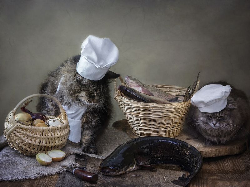 Сидела кошечка в окошке, встречала теплую весну. Натюрморты Ирины Приходько Фотография