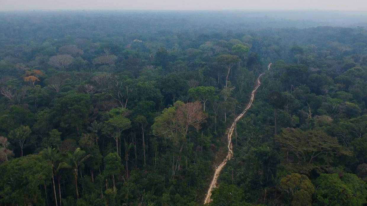 Лауреат Grammy Latino Марилия Мендонса погибла в авиакатастрофе в Бразилии