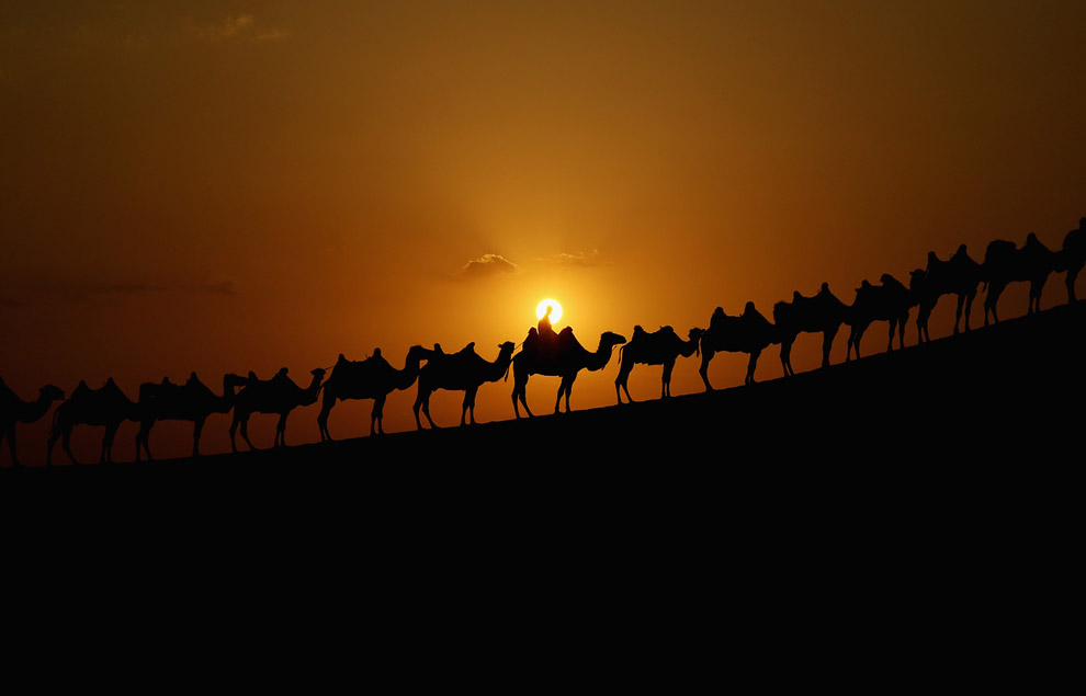 Караван верблюдов, пустыня Xiangshawan