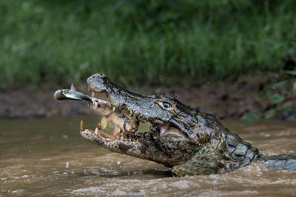 Лучшие фотографии из путешествий по версии National Geographic — 2016