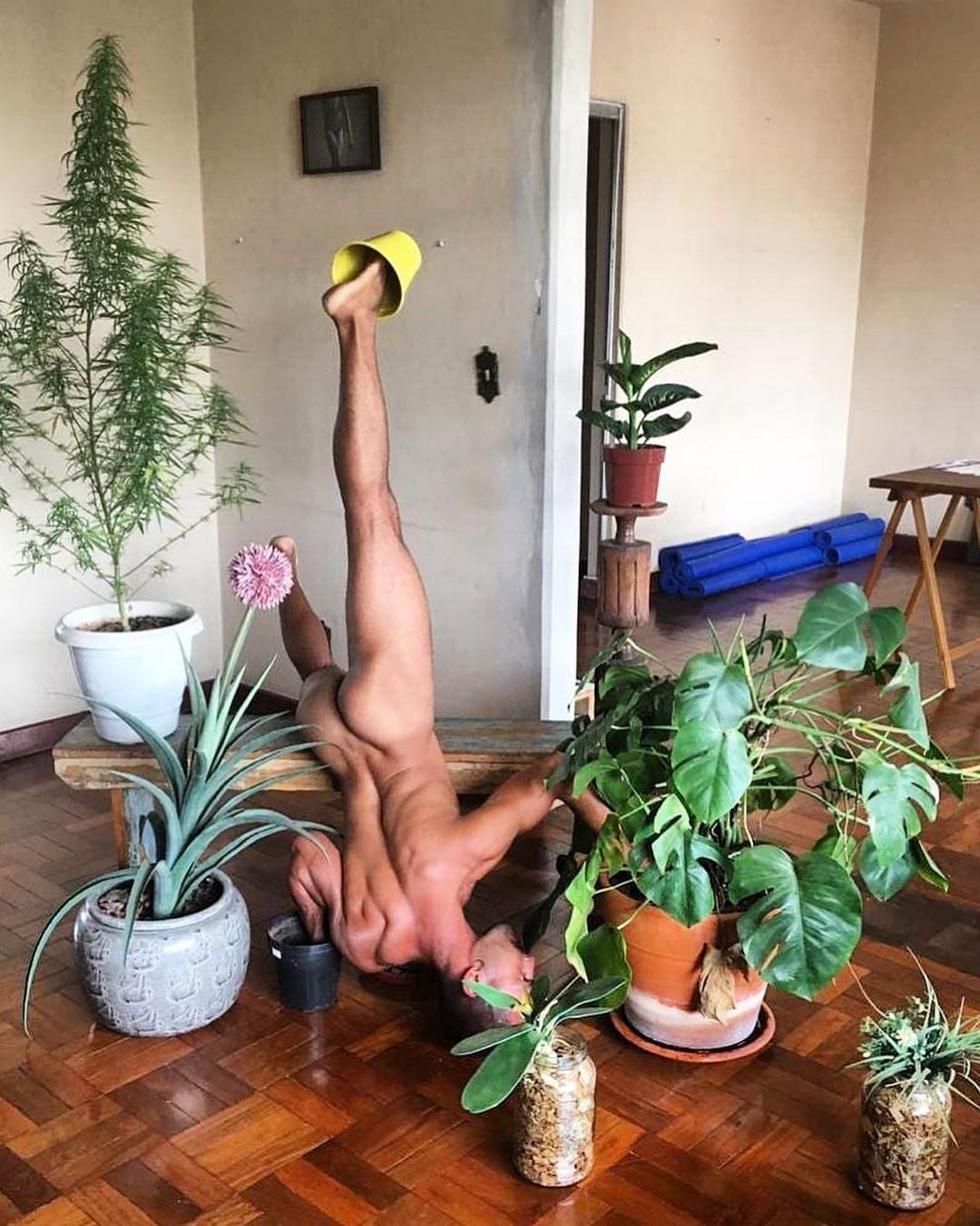 Популярный Instagram-аккаунт «Boys with Plants», где полуголые мужчины позируют с растениями 