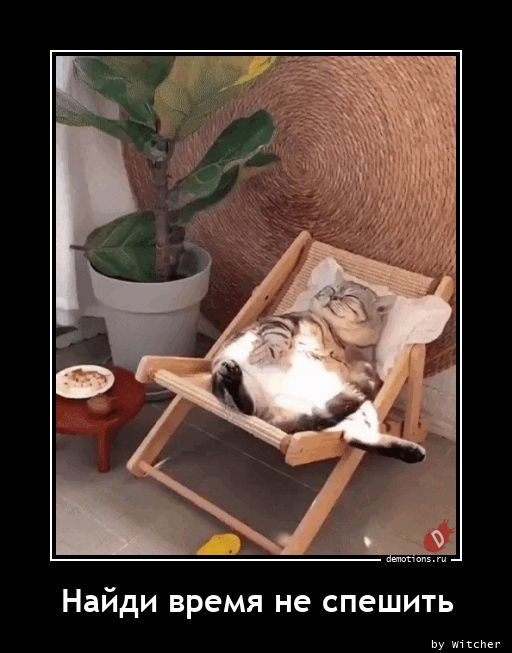 Очередная коллекция отличных демотиваторов, которые вызовут улыбку и сделают день позитивным! 