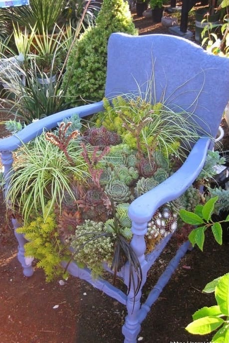 Красивые идеи для сада Старые, чердаке, такие, террасу, украсить, растений, цветов, опору, оригинальную, руками, своими, создать, можно, стула, старого, сарае, стулья, пылятся, которые, стульев