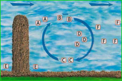 Принципиальная схема расположения течений, потоков и водоворотов на конечной полузапруде
