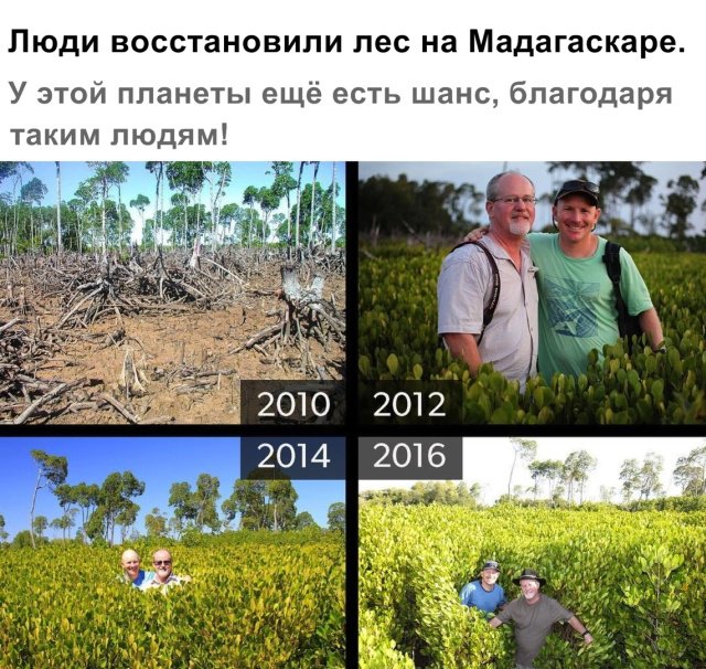 Фотоподборка понедельника  