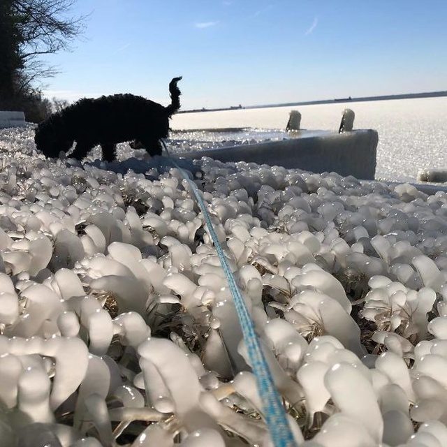 Вот так замерзает Америка Вот так замерзает Америка