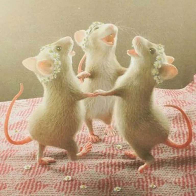 Русские пословицы о мурчащих кошка, кошке, кошек, кошки, любили, Великий, пост Борода, честь, есть Отольются, мышкины, слёзки Живут, собакой Отчего, гладок, бок Покупать, мешке Кот, пляс Зарекалась, серы Кошку, лазить Ночью, против, шерсти