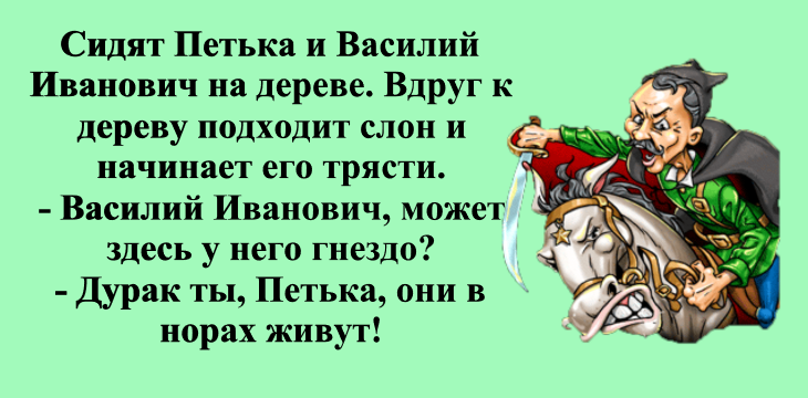 Анекдоты про чапая. Василий Иванович Чапаев шутки. Анекдоты про Чапаева. Василий Иванович Чапаев анекдоты. Петька и Василий Иванович анекдоты.