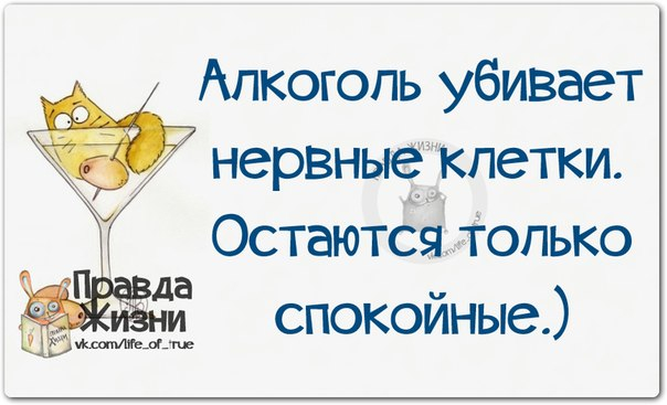 Юмор для хорошего настроения Тема: КАК НЕЛЬЗЯ ПИТЬ 