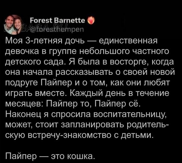 Прикольные КОТОмемы  