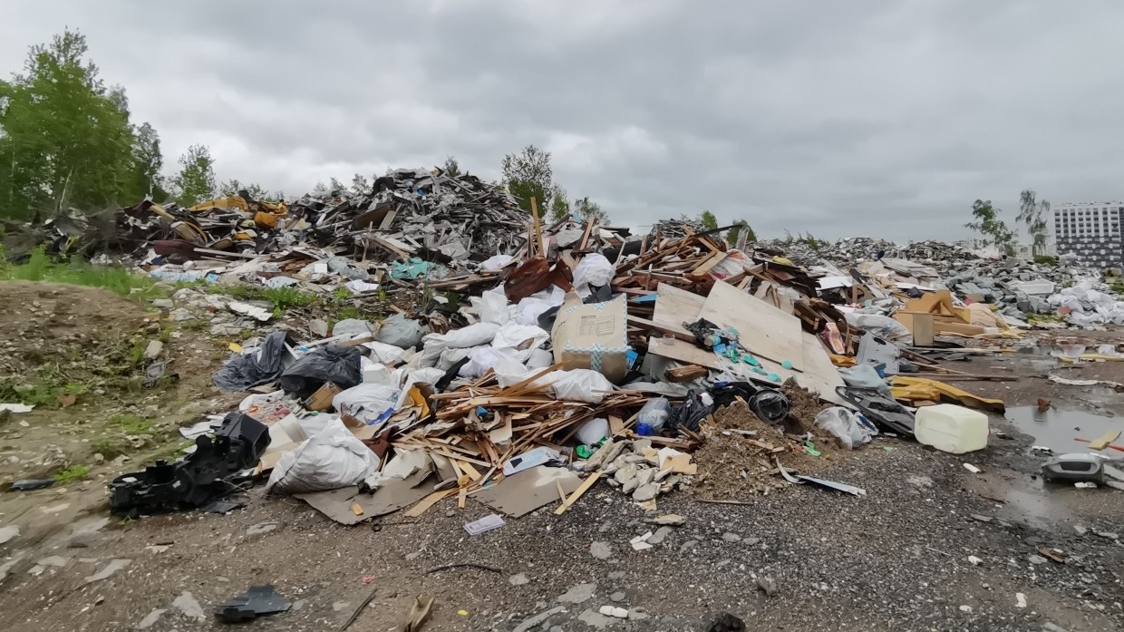 Обглоданный собаками труп человека нашли на свалке в Барнауле