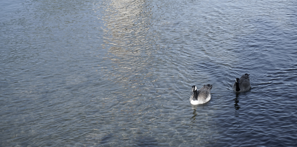 An Introduction: Intentional Travel to Washington