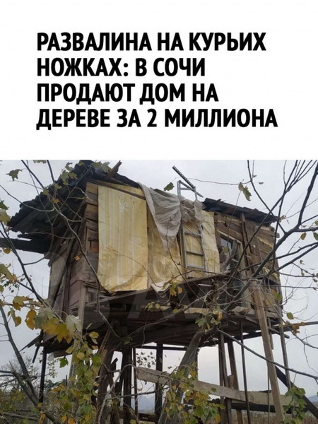 Юмор в картинах Юмор в картинах