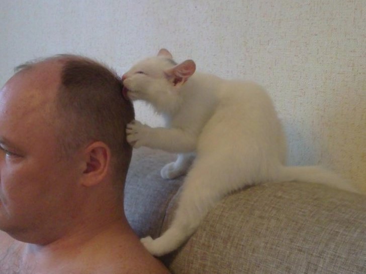 26 животных, чьи фото нужно смотреть два раза в день для настроения 26 животных, чьи фото нужно смотреть два раза в день для настроения животные