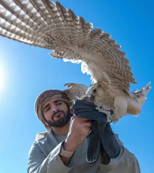 Принц Дубая переименовал домохозяек в "формирователей поколений"