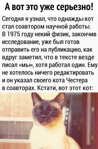 Смешные картинки, приколы и мемы 