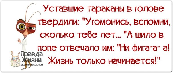 Была в супермаркете... анекдоты,веселые картинки,демотиваторы,приколы,юмор
