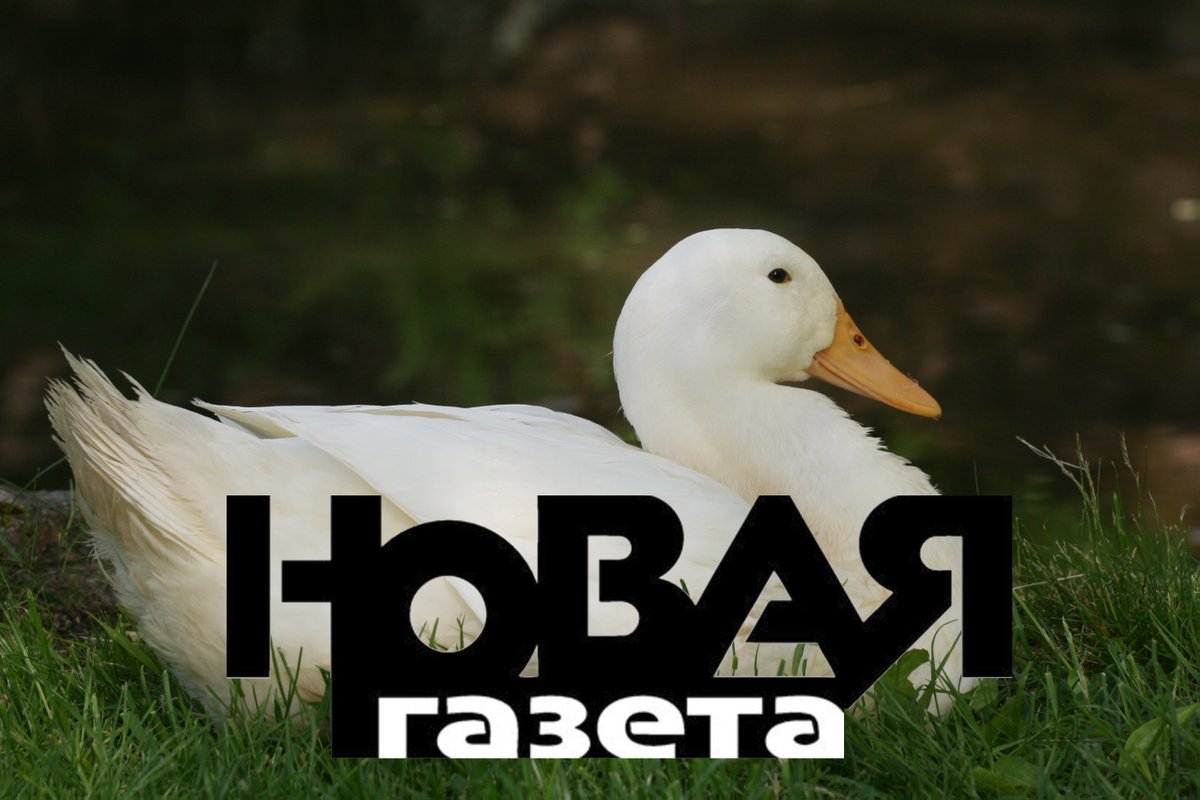 «Новую газету» необходимо запретить – эксперты