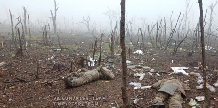 Уроки одного наваждения Уроки одного наваждения армия,история