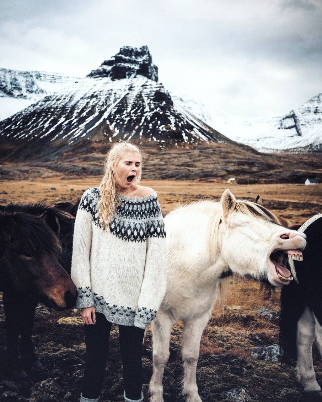 26 животных, чьи фото нужно смотреть два раза в день для настроения 26 животных, чьи фото нужно смотреть два раза в день для настроения животные