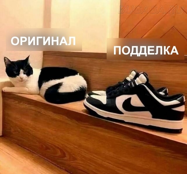 Прикольные КОТОмемы  