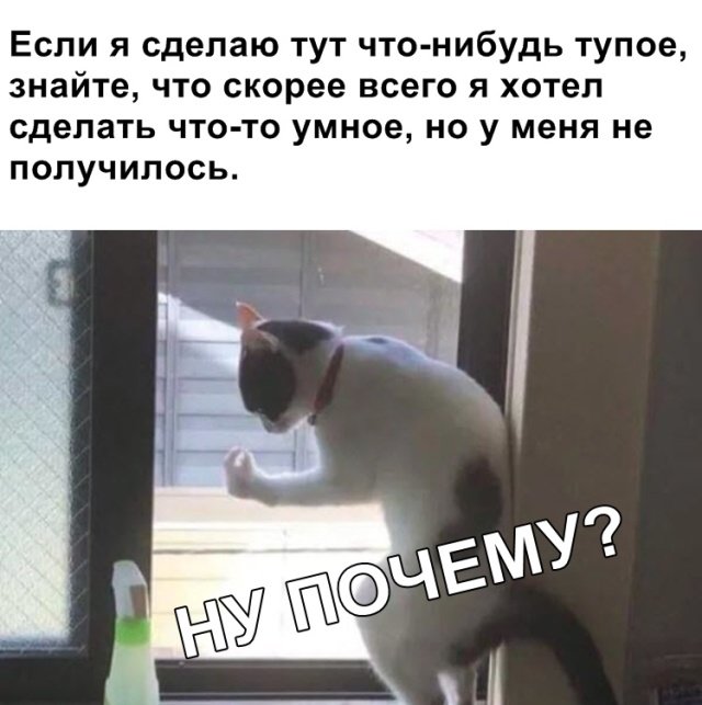 Фотоподборка понедельника  