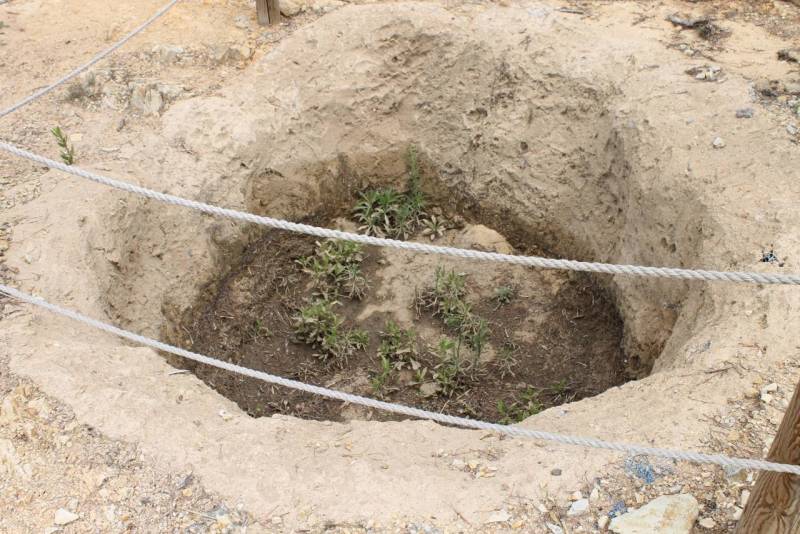 Экспедиция к предкам. Неолитическая колонизация Европы. Древние пахари среди больших камней история