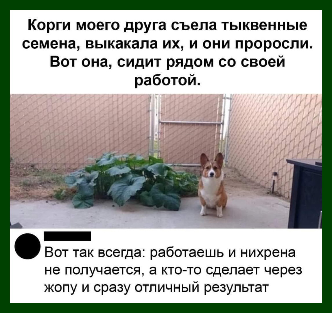 - Две бутылки виски и пачку сигарет, пожалуйста... будет, пойму, дерева, охоте, плечу, петухов, такси, голубые, страусы, говорит, которые, ружья, таксист, приятель, тротуар, делай, остановилось, сантиметре, больше, витрины