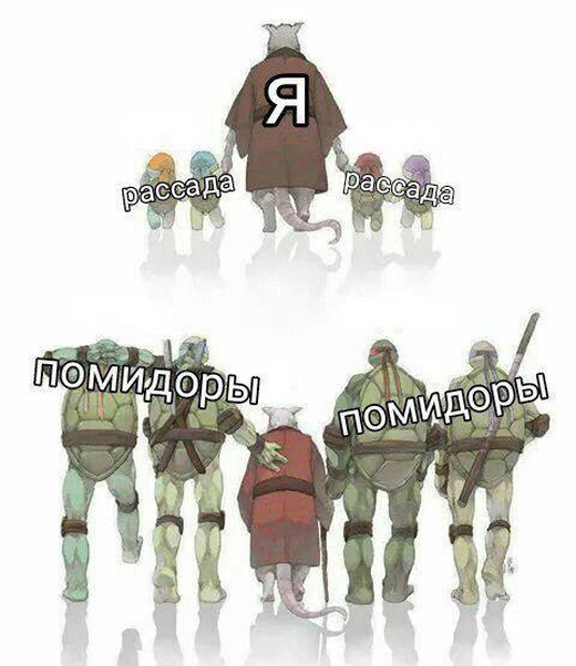 Подборка смешных картинок  смешные картинки