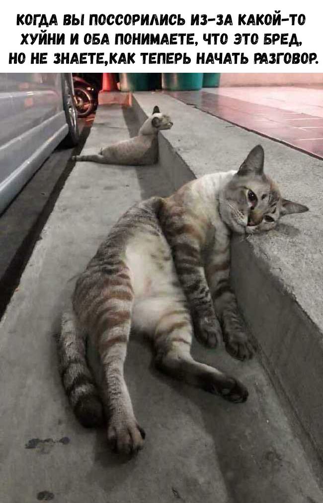 Аморальные картинки Аморальные картинки