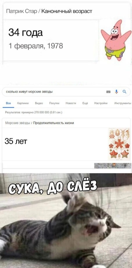 Подборка прикольных картинок  смешные картинки