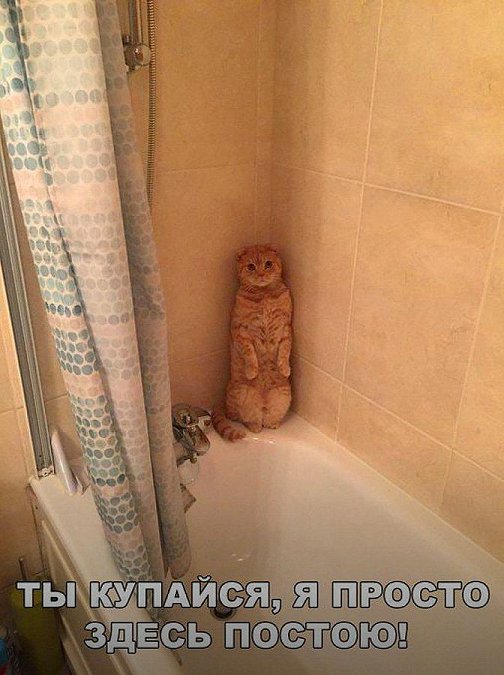 Сами себе создаём завидное настроение: наша подборка в помощь! Сами себе создаём завидное настроение: наша подборка в помощь!