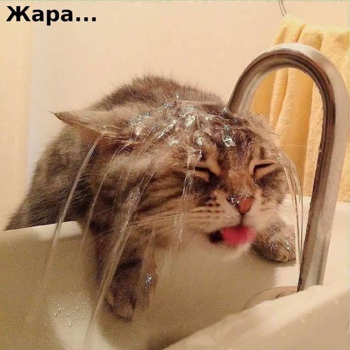 Веселые истории о нас. Лето 