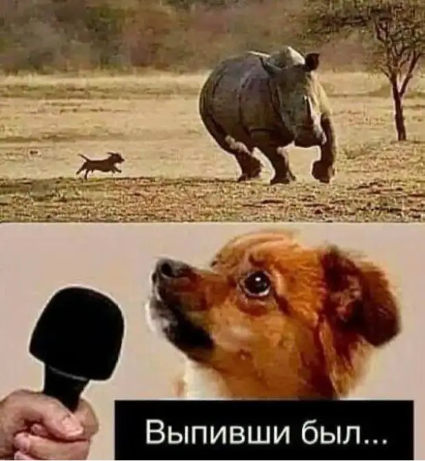 Как говорит отец: - Чтоб вам зубы так же лечили, как вы дороги ремонтируете! Как говорит отец: - Чтоб вам зубы так же лечили, как вы дороги ремонтируете! такой, семье, девушка, бросает, нашей, снова, глаза, говорит, смотрит, кушай, открывает, лежит, понравится, такая, мужчина, сегодня, правила, чтобы, подходит, господин