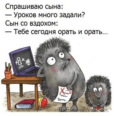 На первом году нашего брака, жена как-то обмолвилась:  - Но ведь ты глава семьи, ты и решай... глава, очень, которые, домой, грязная, победила, всегда, сделала, сказала, потому, такое, чтото, Почему, голос, повышать, человек, может, увидел, мятая, больше