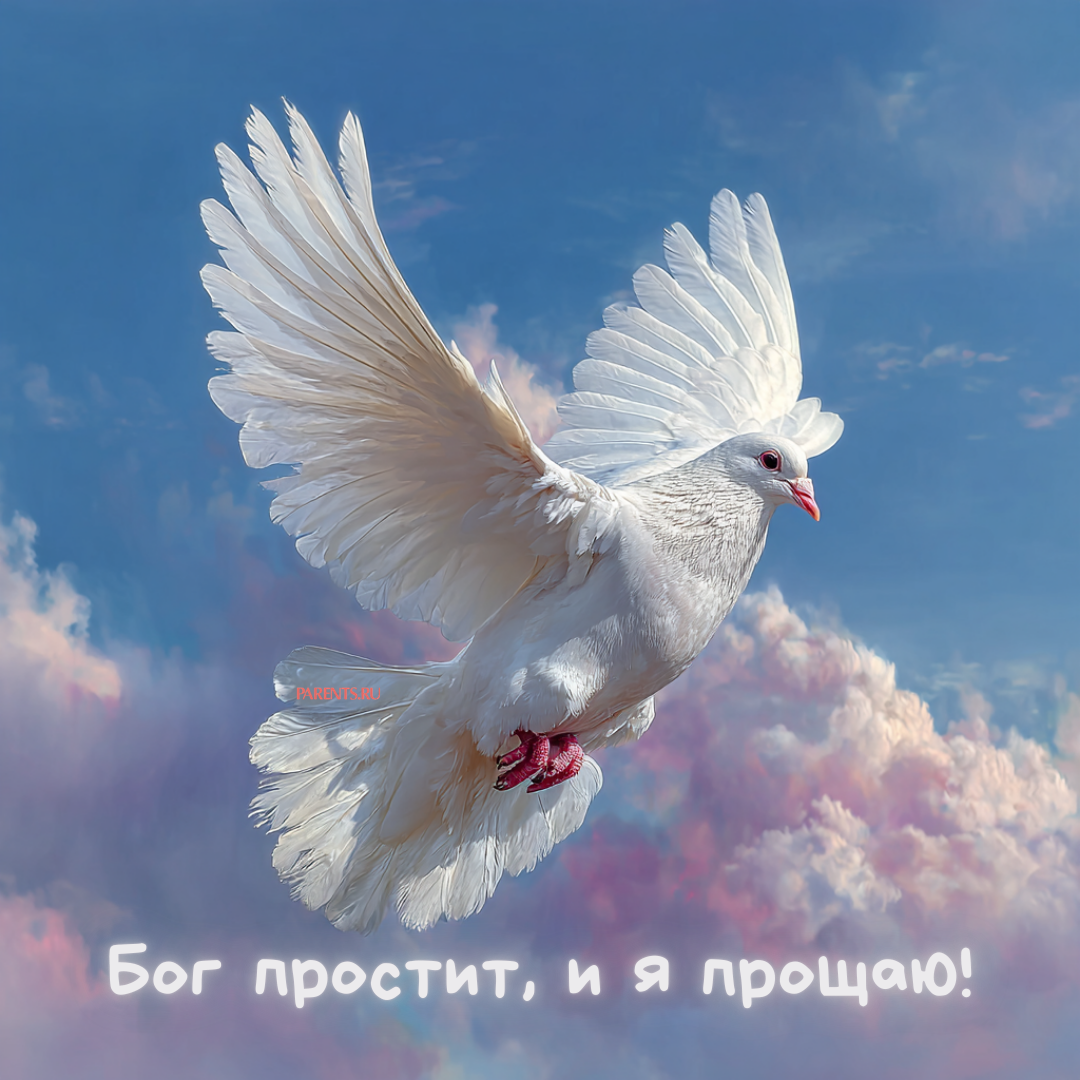 «Бог простит, и я прощаю»: 25 открыток, которые можно отправить на Прощеное воскресенье-2026 в ответ на извинения «Бог простит, и я прощаю»: 25 открыток, которые можно отправить на Прощеное воскресенье-2026 в ответ на извинения format-article,noindex,Стиль жизни