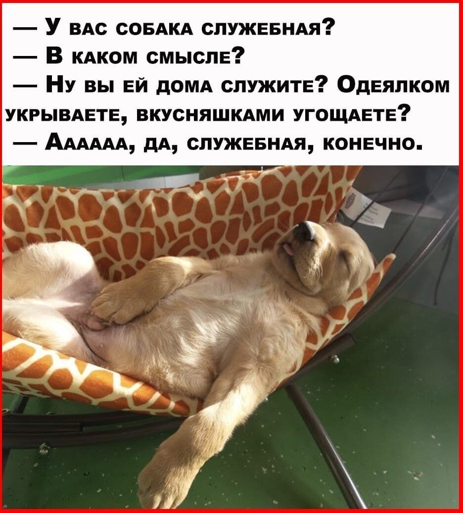 Бывает, встретишь человека. Нормальный, вроде, человек... Весёлые,прикольные и забавные фотки и картинки,А так же анекдоты и приятное общение