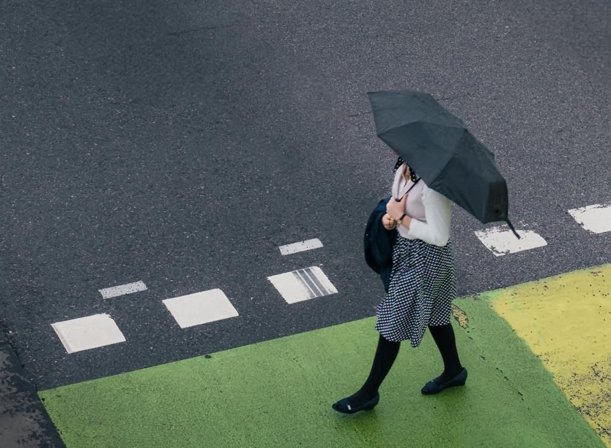 pexels-ekam-juneja-61080223-28438025