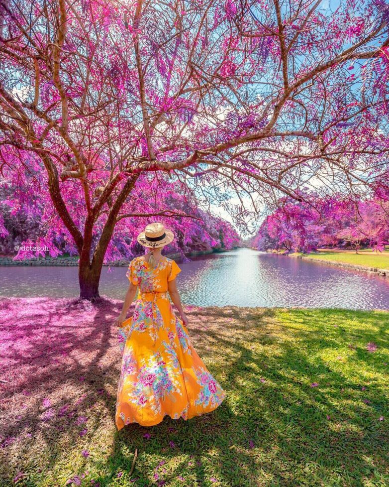 Немного тревел-волшебства от Dotz Soh Немного тревел-волшебства от Dotz Soh города,путешествие,туризм,турист,фотографии