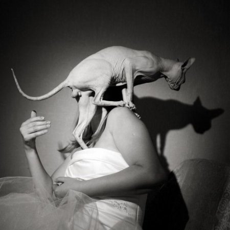 И у свадебных фотографов бывает брак в работе И у свадебных фотографов бывает брак в работе