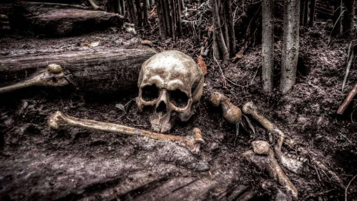 Фрагмент человеческого черепа обнаружили в лесу под Саратовом