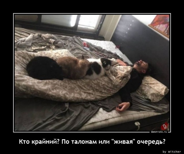 Свежая порция демотиваторов: «Кто крайний?»