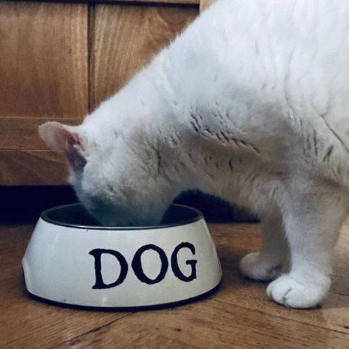 Мир сошёл с ума? 