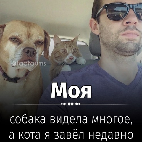 - ты ж понимаешь, что это бессмысленный спор? - почему? - потому что я всё равно могу заплакать в любой момент и выиграть - ты ж понимаешь, что это бессмысленный спор? - почему? - потому что я всё равно могу заплакать в любой момент и выиграть честь, говорит, спрашивает, когда, легко, приходит, ничего, Мужик, дверь, очень, смерти, Вдруг, хотят, младенца, открывает, солнце, пример, чёрной, ходит, ребенок