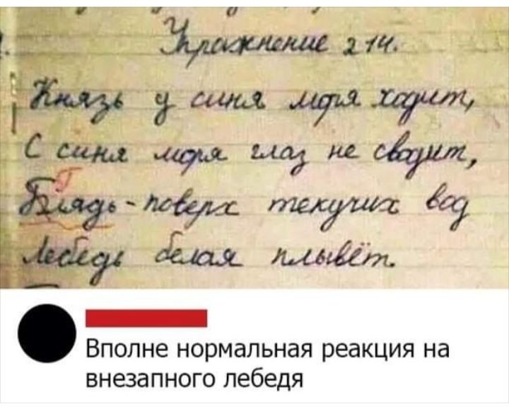 Милый, ты обратил внимание, какое кольцо у нее на пальце? анекдоты,веселье,демотиваторы,приколы,смех,юмор