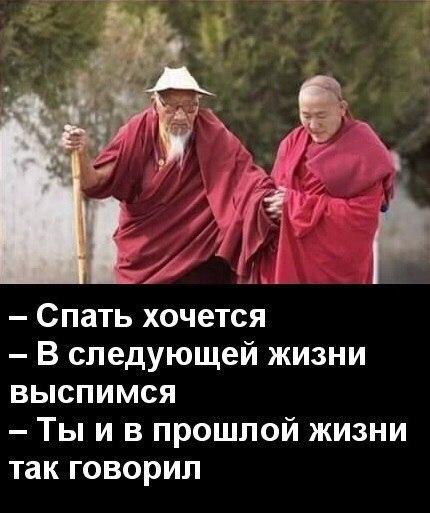 Прикольные картинки с надписью для веселья (12 фото)